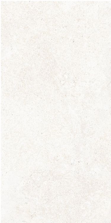OL Limestone Bianco Matte 12 x 24